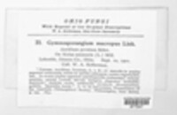 Image Associated With the Occurence